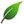 go green leaf